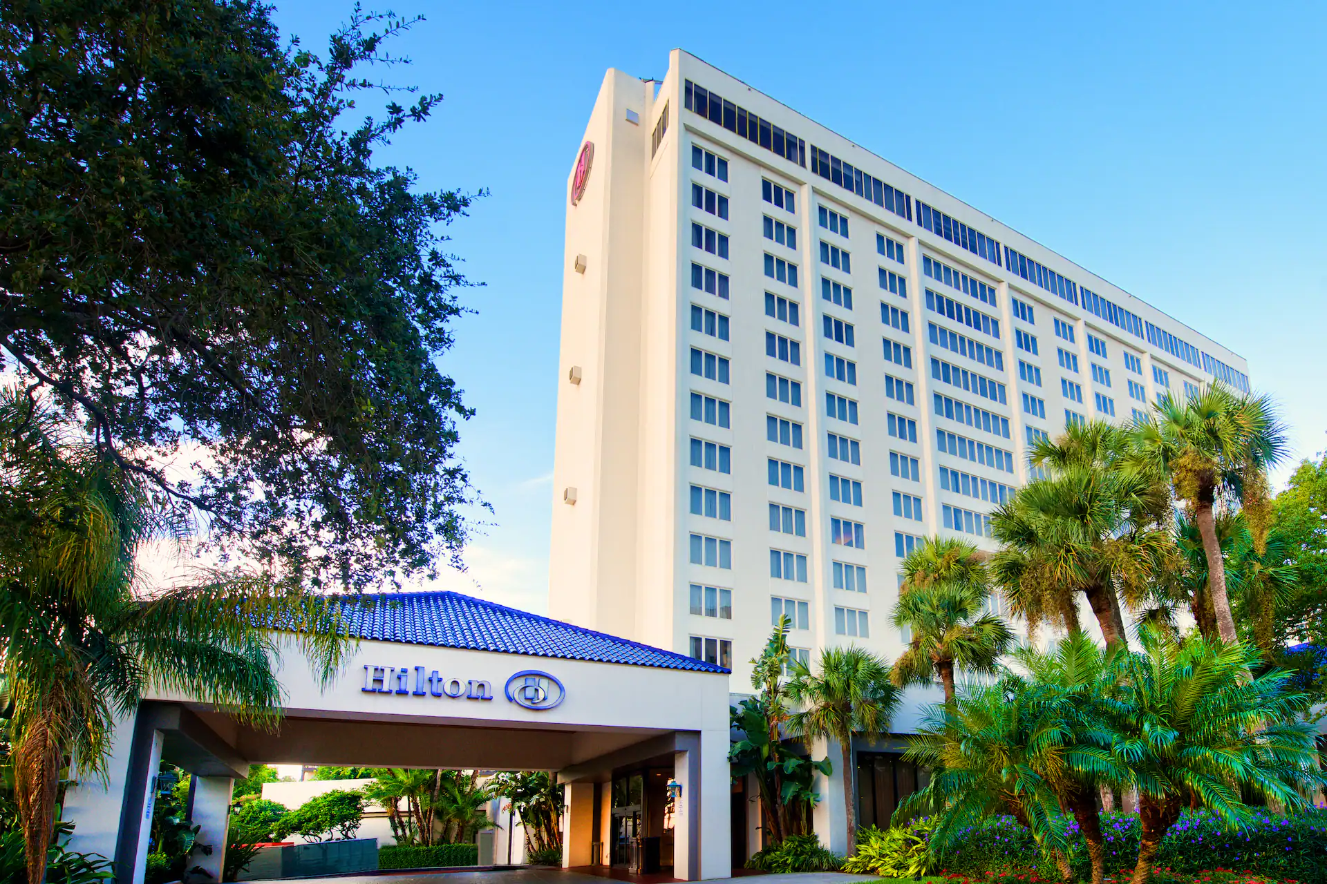 Hilton St. Petersburg Bayfront exterior during the day
